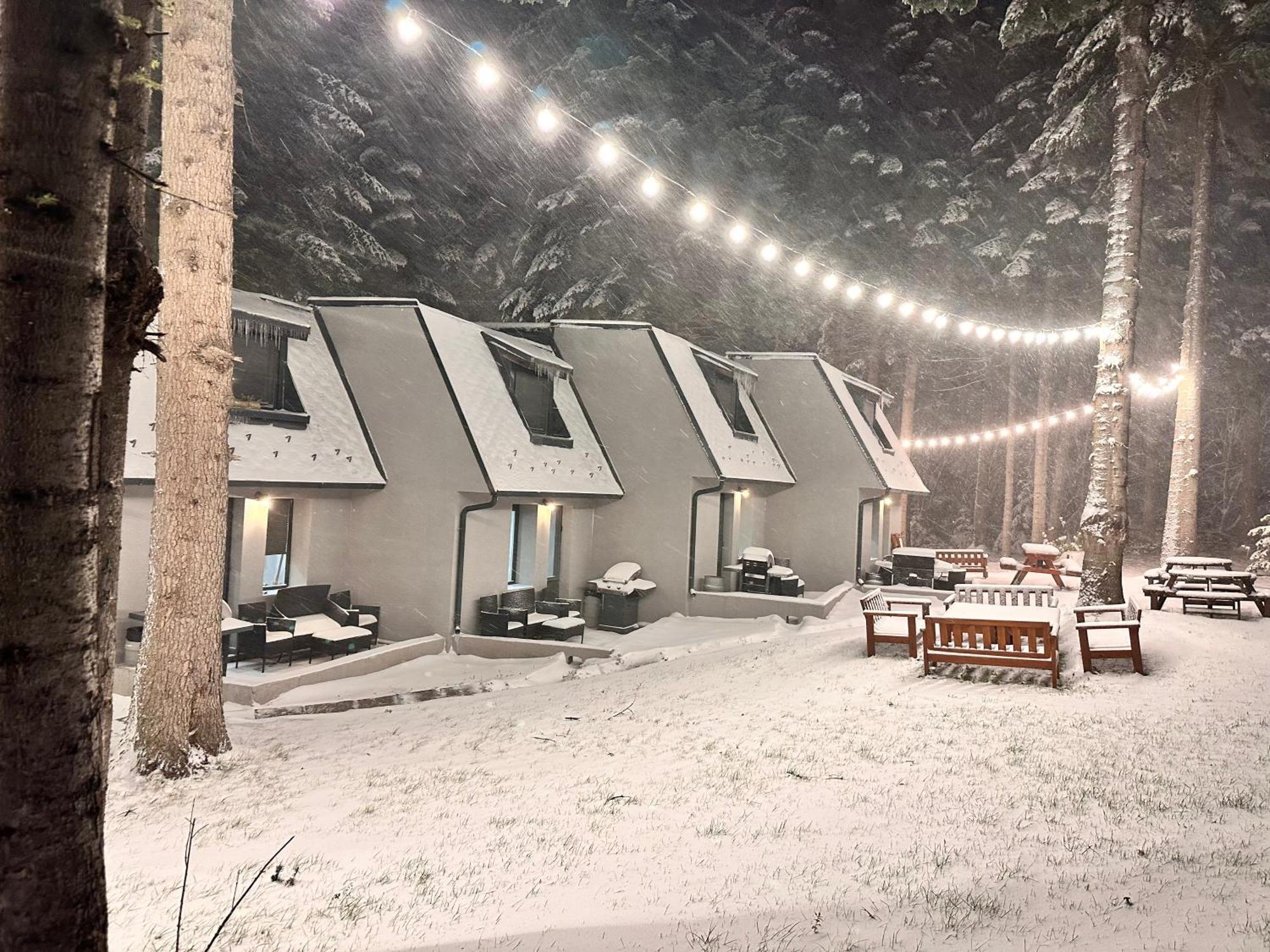 Boro Green Holiday Village Боровец Экстерьер фото