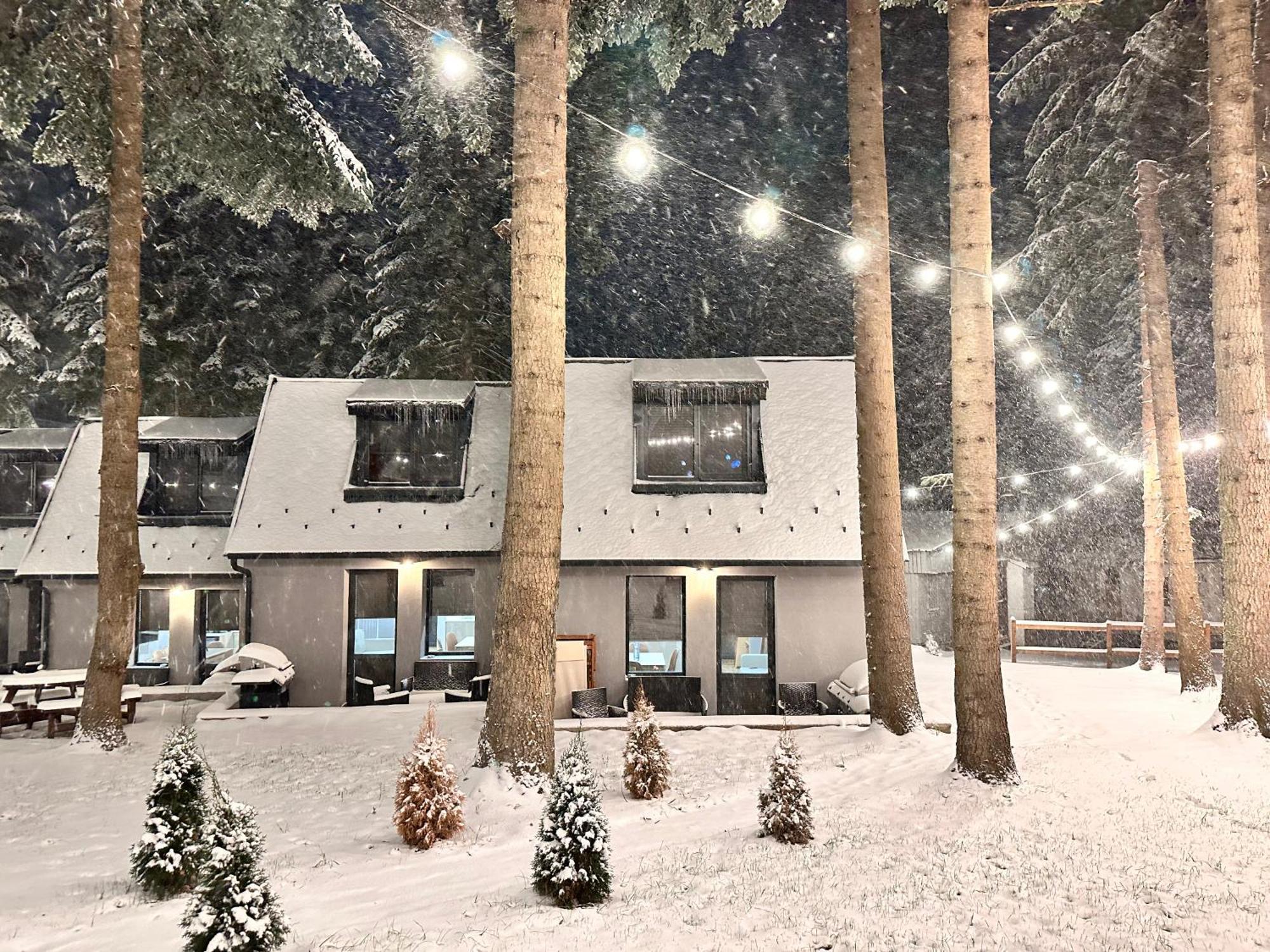 Boro Green Holiday Village Боровец Экстерьер фото