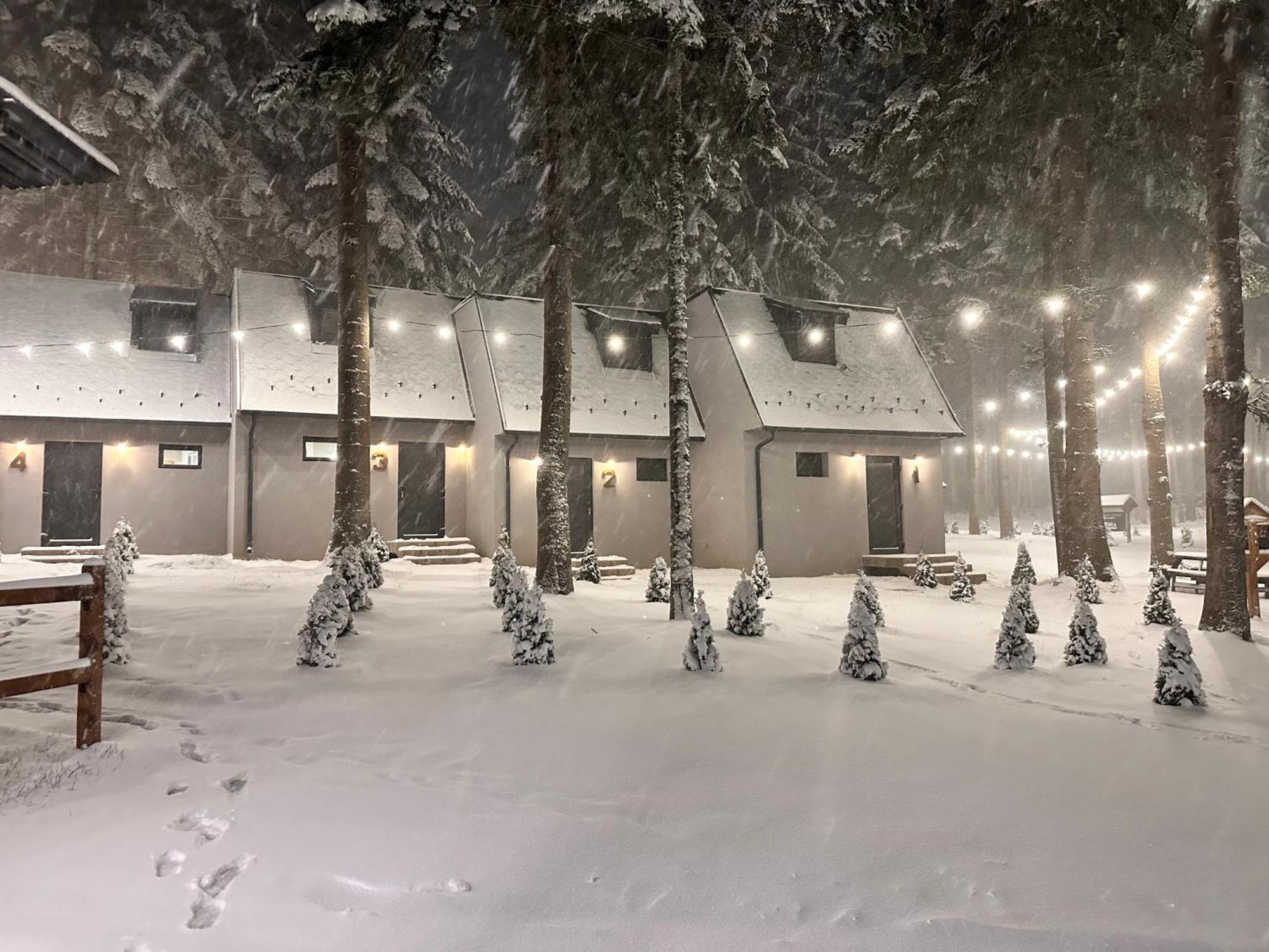 Boro Green Holiday Village Боровец Экстерьер фото